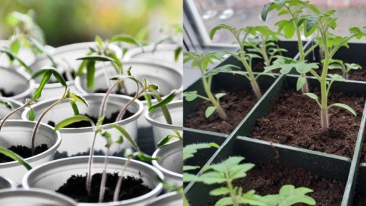 ��� ��������� ������� ����� ������� ��� ����� �� 10 ���� � ������� �����