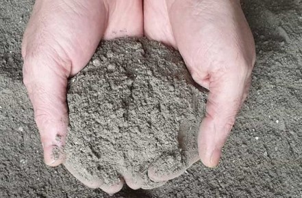 ���� � �������: ����������� ��������, � ������� ����� ����� ����� ����������