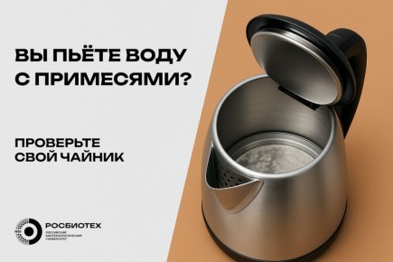 ������ � �������: ������� ������, � ������� ����� �����