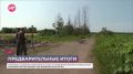 В Новгородской области посевная кампания идет с опережением графика