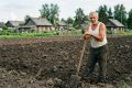 «53 промпта»: создаем нейросетевого Иваныча для помощи по огороду