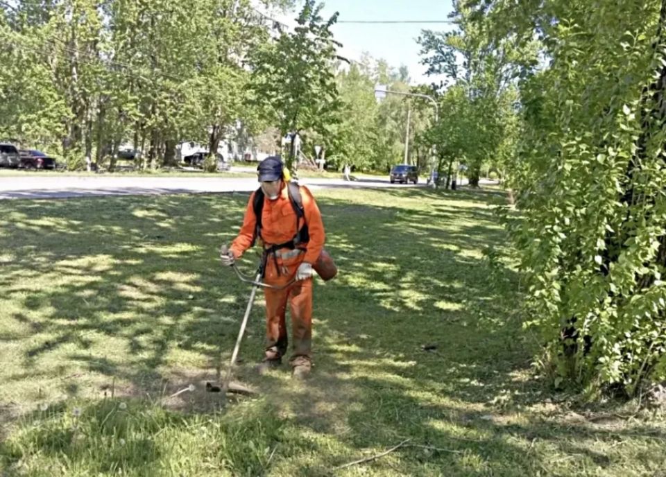 Александр Розбаум: Уважаемые Новгородцы!. После дождливых дней установилась жаркая погода, что способствует интенсивному росту травы Александр Розбаум: Уважаемые Новгородцы!. После дождливых дней установилась жаркая погода, что способствует интенсивному росту травы