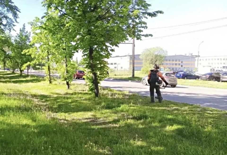 Александр Розбаум: Уважаемые Новгородцы!. После дождливых дней установилась жаркая погода, что способствует интенсивному росту травы Александр Розбаум: Уважаемые Новгородцы!. После дождливых дней установилась жаркая погода, что способствует интенсивному росту травы