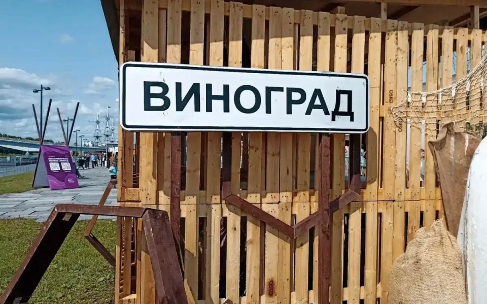 В Великом Новгороде пройдет выставка «Россия родина науки» о виноделии