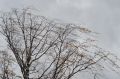 26 мая Новгородскую область накроет непогода