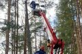 Из-за ветра без света остались почти 3 тысячи жителей Новгородской области