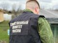 Жителя Старорусского округа задержали за убийство матери электрическим чайником