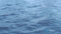 � ����������� ������ ������� ������ � ���������� �����������