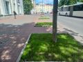 На Газоне в Великом Новгороде восстановили знаменитые зелёные «квадраты»