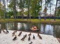 Почти 90 тысяч новгородцев выбрали территории для благоустройства в 2027 году