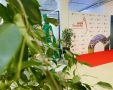 Новгородских предпринимателей приглашают на встречу с Торговыми представителями России в разных странах