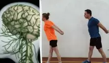 Как физические упражнения преобразуют наш мозг