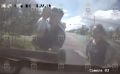 В Шимском округе 6-летнего мальчика возле дома покусала бродячая собака