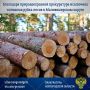Новгородская межрайонная природоохранная прокуратура провела проверку соблюдения законодательства об особо охраняемых природных территориях