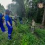 В Окуловском округе в ДТП пострадал мужчина