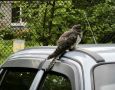 � �������� ������ �������� ��������� ����������� �������� ������� ����� �����