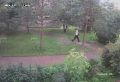 Новгородская полиция задержала студента, забравшего 1 млн рублей у пенсионерки