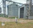 В Новгородской области проводят обработку хранилищ нового урожая