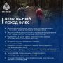 С начала года на территории Новгородской области в природной среде потерялся 51 человек! 16 из них — дети
