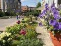 Названы самые благоустроенные дворы Великого Новгорода