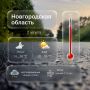 Погода в Новгородской области на сегодня, 2 августа