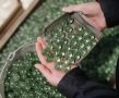 Ещё 110 рабочих мест планируют создать на Новгородском заводе стекловолокна