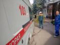 В Великом Новгороде на женщину упало дерево