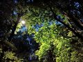 Энергоснабжение в Новгородской области восстанавливают 46 бригад энергетиков