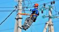 � ������������ ������� ���������������� ��������������� � 295 ��������� �������