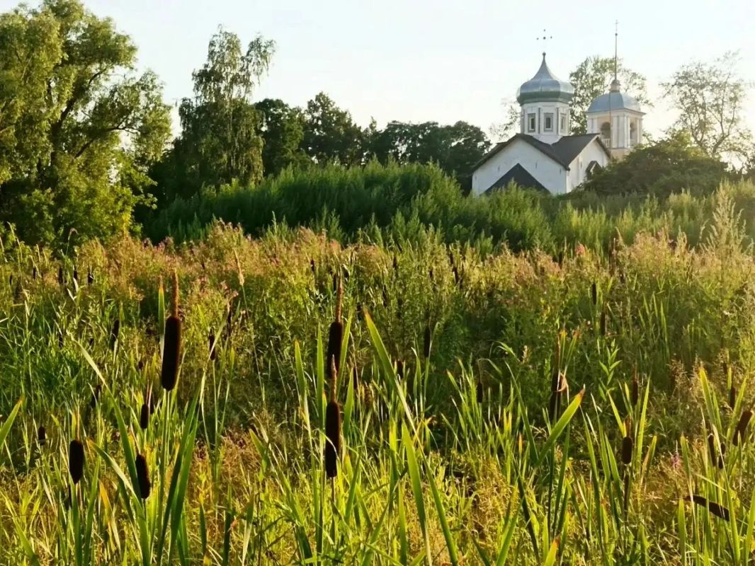 Ненастный циклон покидает Новгородскую область