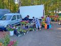 Первую осеннюю ярмарку в регионе проведут в посёлке Любытино