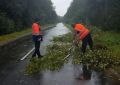 Из-за непогоды в Новгородской области усилили контроль за состоянием дорог