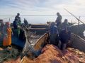 Акция «Доступная рыба» расширяет географию