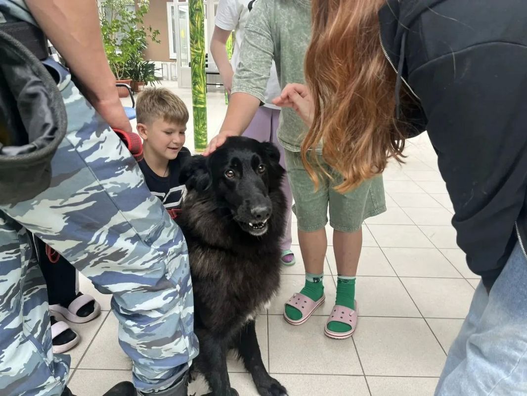 Полицейские организовали для воспитанников центра «Юрьево» день полезных знаний и знакомство со служебными собаками Полицейские организовали для воспитанников центра «Юрьево» день полезных знаний и знакомство со служебными собаками
