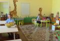 Стандарт семейноцентричности объединил свыше 700 организаций Новгородской области