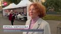 Жители Северного микрорайона Великого Новгорода проверили здоровье благодаря проекту «Здоровая семья»