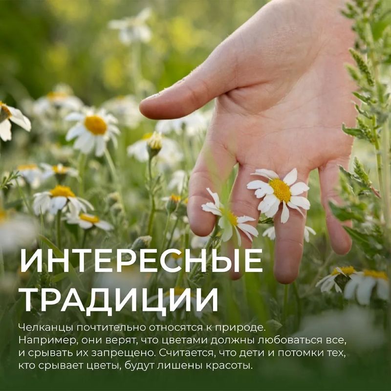 В нашей пятничной рубрике узнаем о народе, у которого не принято дарить цветы В нашей пятничной рубрике узнаем о народе, у которого не принято дарить цветы