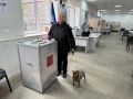 Утепленный по погоде пёс Вася помог хозяйке исполнить гражданский долг