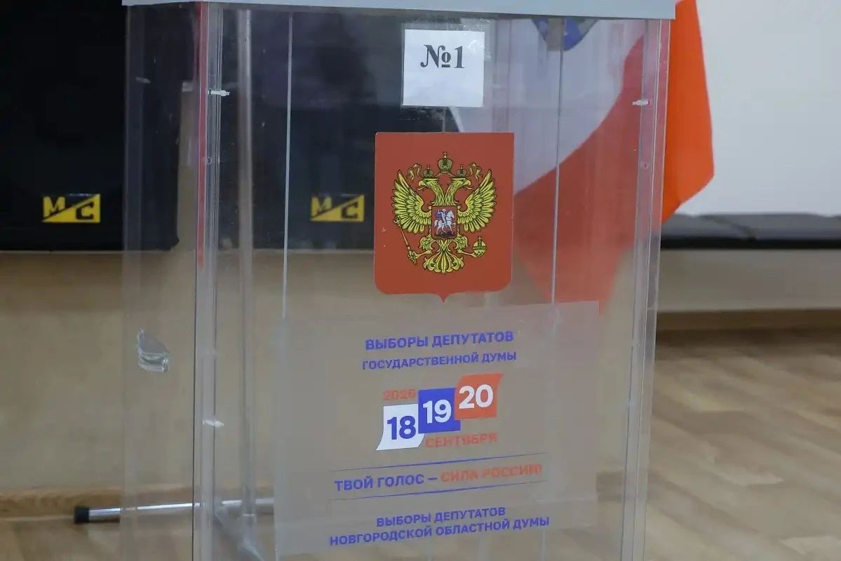 В Новгородской области обработали 100% протоколов по выборам в Госдуму