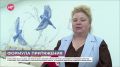 Более 360 миллионов рублей направлено на развитие Окуловского округа с участием компании «Сплат»