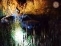 В ночном ДТП в Батецком округе пострадал человек