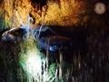 В ночном ДТП в Батецком округе пострадал человек