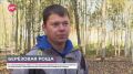 В «Берёзовой роще» завершился очередной этап благоустройства