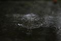 Новгородская область – в лидерах по модернизации объектов водоотведения