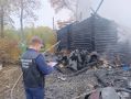В Новгородском округе проводится доследственная проверка по факту гибели двух женщин при пожаре