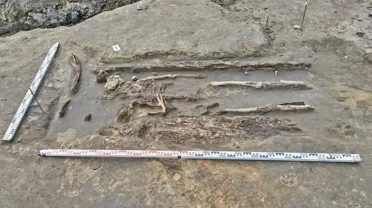 В древнем некрополе в Старой Руссе нашли останки женщины со сложной причёской
