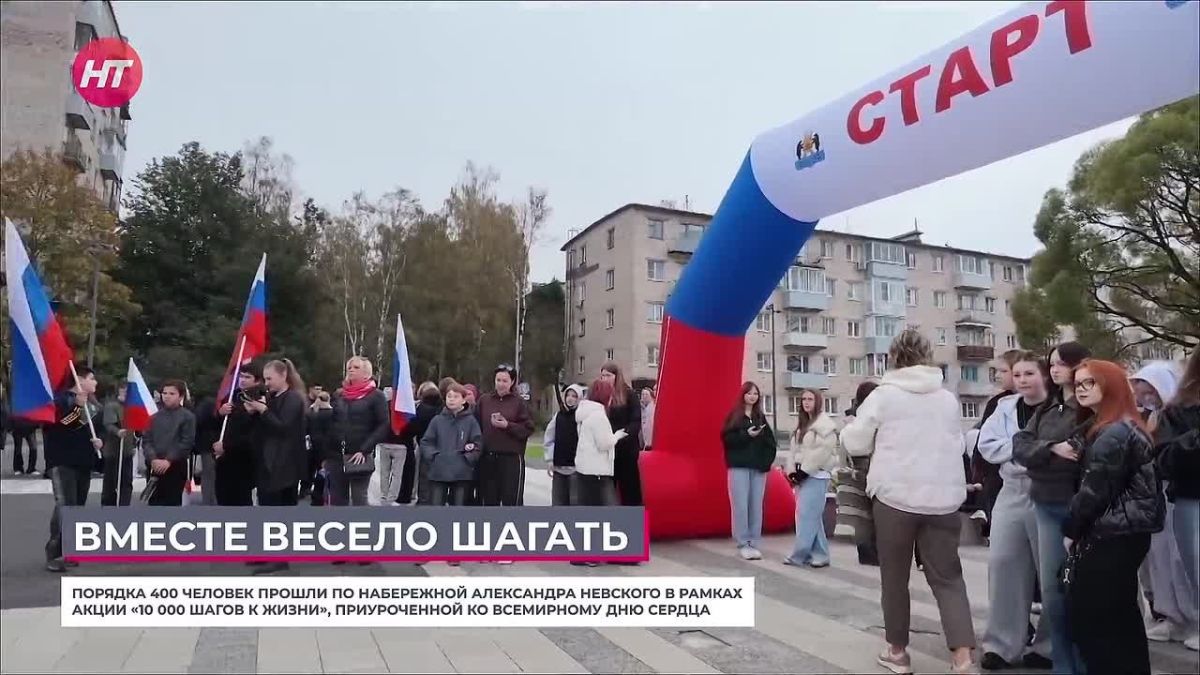 Более 400 новгородцев прошли «10 000 шагов к жизни» по набережной Александра Невского
