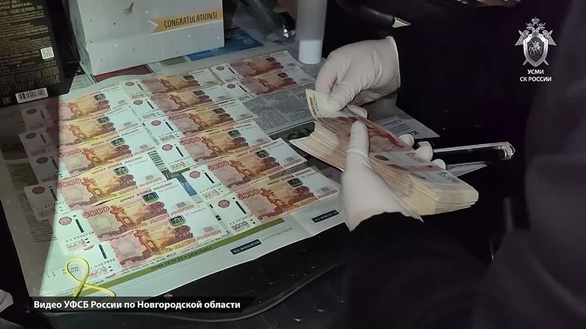 Прокуратура Новгородской области признала законным и обоснованным возбуждение уголовного дела в отношении бывшего заместителя руководителя территориального органа федеральной налоговой службы