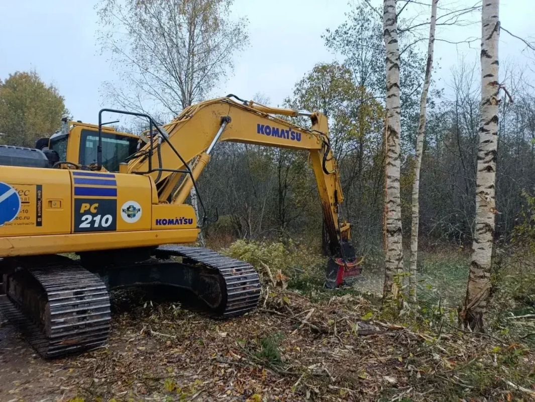 На областных дорогах в трех муниципальных округах работают мульчеры