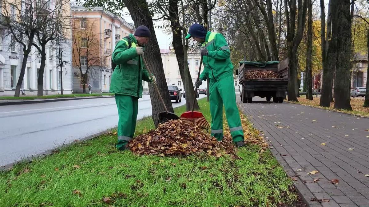 Мэр Великого Новгорода Александр Розбаум совместно с заместителем Сергеем Андреевым проинспектировал ход работ по уборке города от осенней листвы